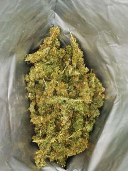 Tangerine Sorbet - картинка 4