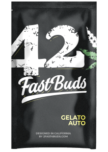 Gelato Auto