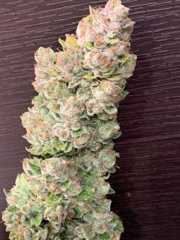 Auto Orange Bud - картинка 10