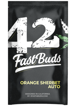 Orange Sherbet Auto