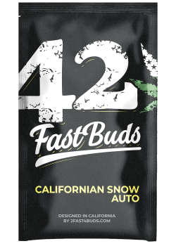 Californian Snow Auto