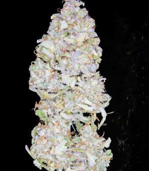 Strawberry Pie Auto - картинка 2