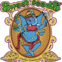 Sweet Seeds
