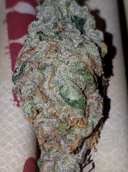 Girl Scout Cookies Auto - картинка 11